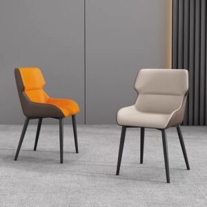 Modern Dual-Tone Dining Chair Set